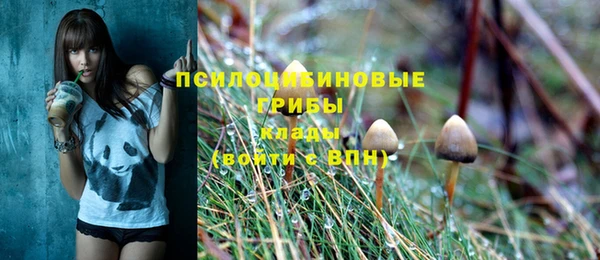 ECSTASY Верея