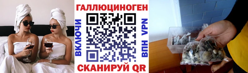 Галлюциногенные грибы мухоморы Хасавюрт